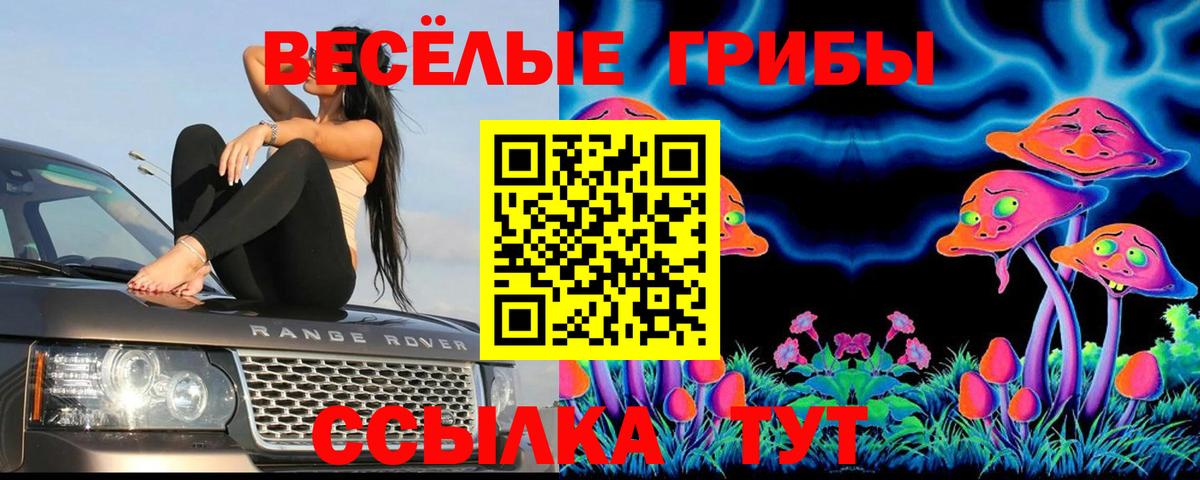 Псилоцибиновые грибы мицелий Бор
