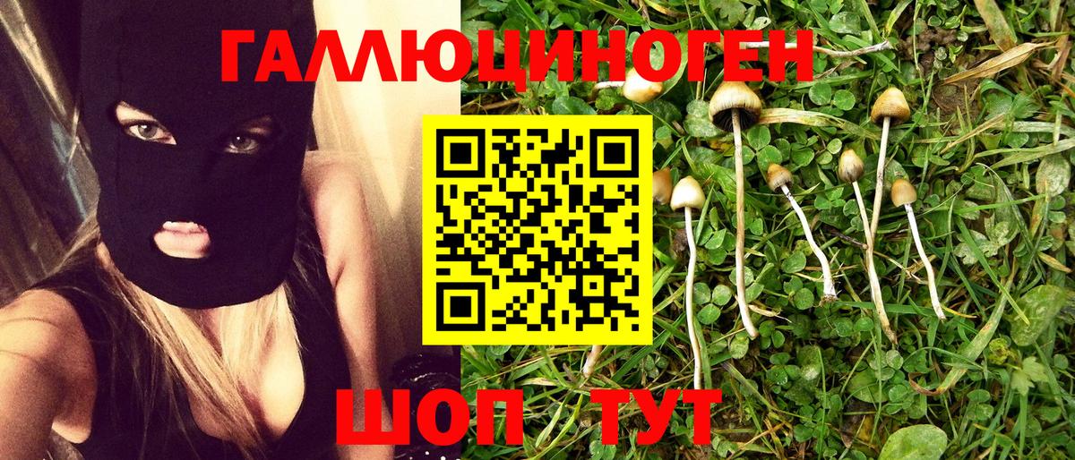 Бор  Псилоцибиновые грибы Cubensis  Вход с VPN  Галлюциногенные грибы Magic Shrooms 